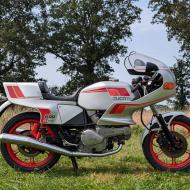 Ducati Pantah 600 sl 1982