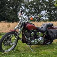 Harley Davidson  FXSTC softail springer 1340cc  1989