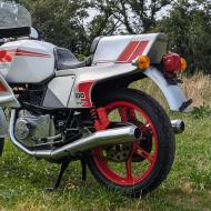 Ducati Pantah 600 sl 1982