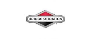 Briggs & Stratton