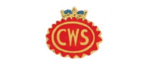 Federal - cws - logo