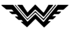 wanderer logo