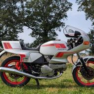 Ducati Pantah 600 sl 1982