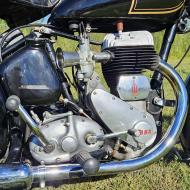 BSA M21 600cc from 1954 "dutch registration papers"